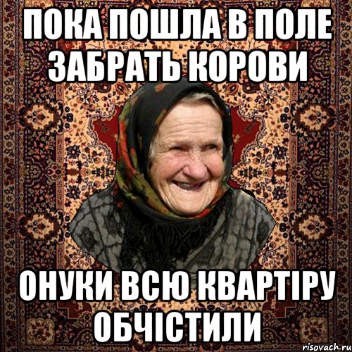 пока пошла в поле забрать корови онуки всю квартіру обчістили, Мем баба нюра