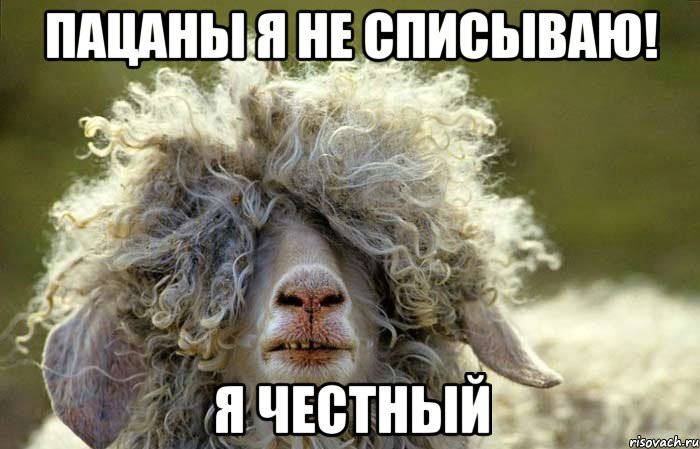 Пацаны я не списываю! Я честный