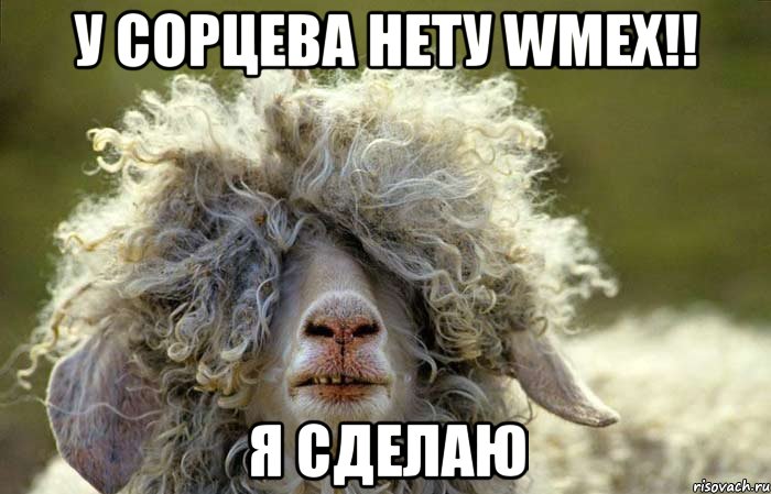 У Сорцева нету Wмех!! Я сделаю
