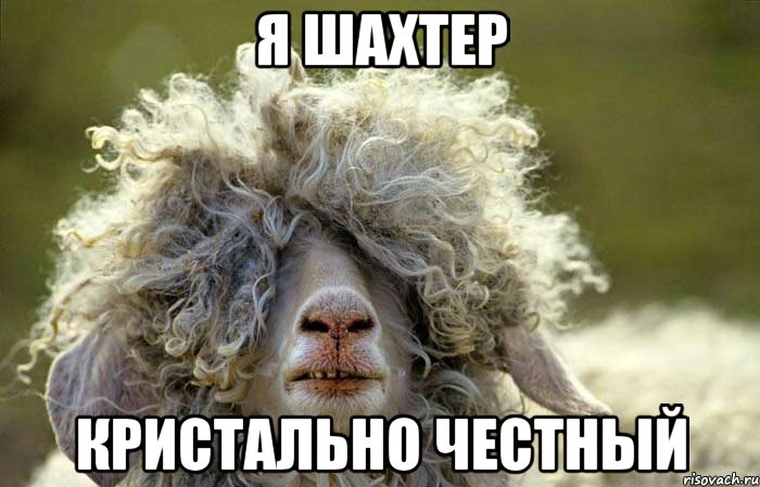 Я шахтер Кристально честный