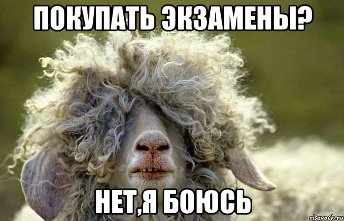 Покупать экзамены? Нет,я боюсь