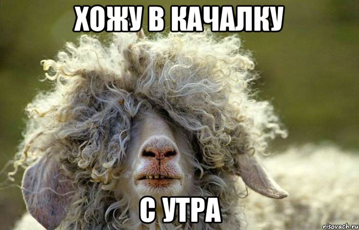 ХОЖУ В КАЧАЛКУ С УТРА