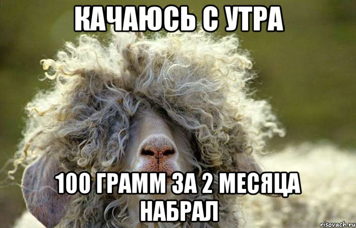 Качаюсь с утра 100 грамм за 2 месяца набрал
