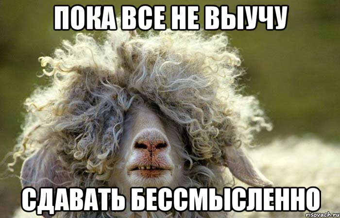 Пока все не выучу сдавать бессмысленно