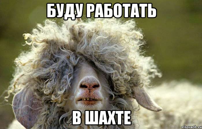 БУДУ РАБОТАТЬ В ШАХТЕ