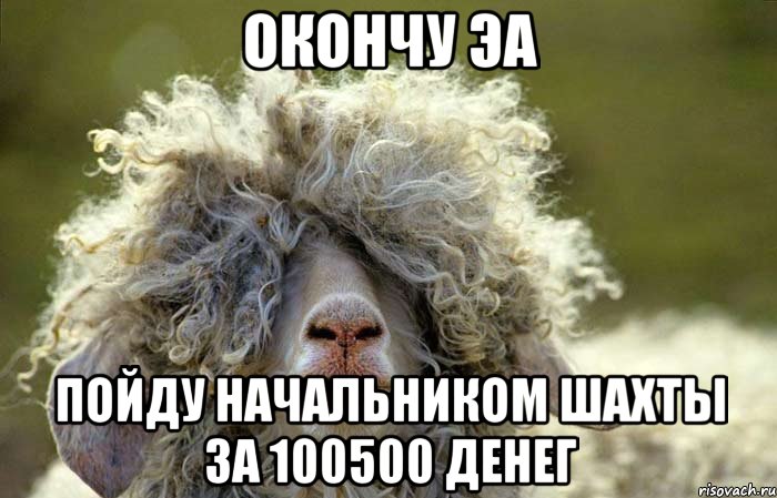 Окончу ЭА пойду начальником шахты за 100500 денег