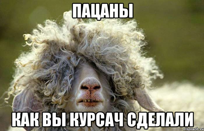 ПАЦАНЫ КАК ВЫ КУРСАЧ СДЕЛАЛИ