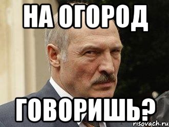 На огород говоришь?