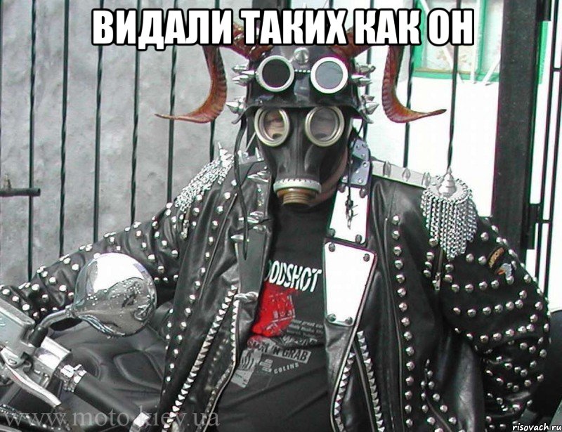 видали таких как он 