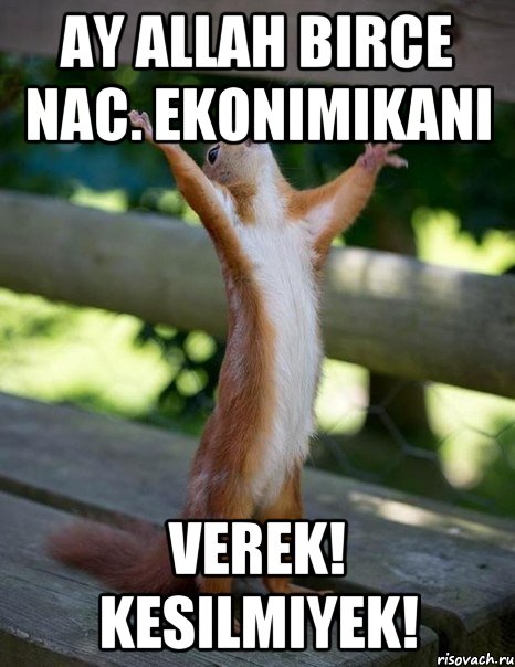 Ay Allah birce nac. Ekonimikani Verek! Kesilmiyek!, Мем    белка молится