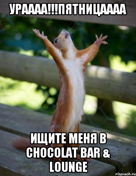 УРАААА!!!Пятницаааа Ищите меня в Chocolat Bar & Lounge, Мем    белка молится