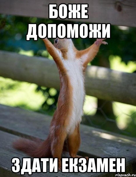 Боже допоможи здати екзамен, Мем    белка молится