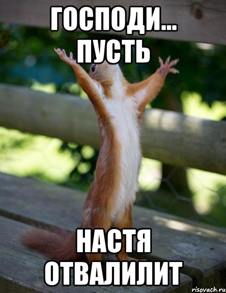 Господи... пусть Настя отвалилит, Мем    белка молится