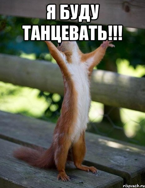 Я буду танцевать!!! , Мем    белка молится
