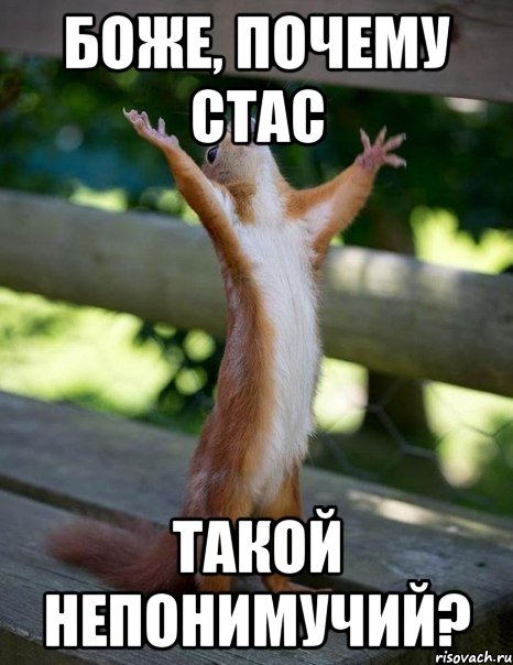 боже, почему Стас такой непонимучий?, Мем    белка молится