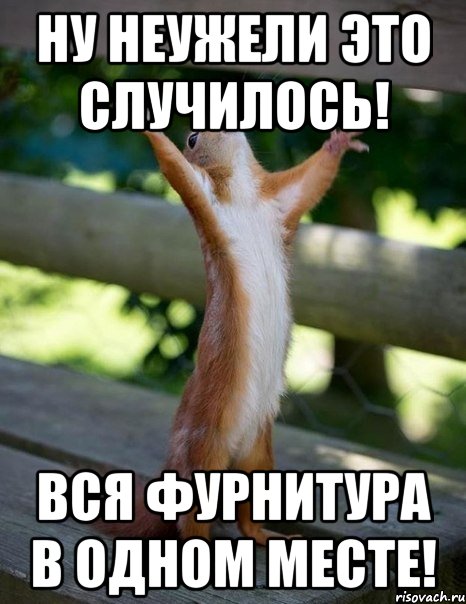 Ну неужели это случилось! Вся фурнитура в одном месте!, Мем    белка молится