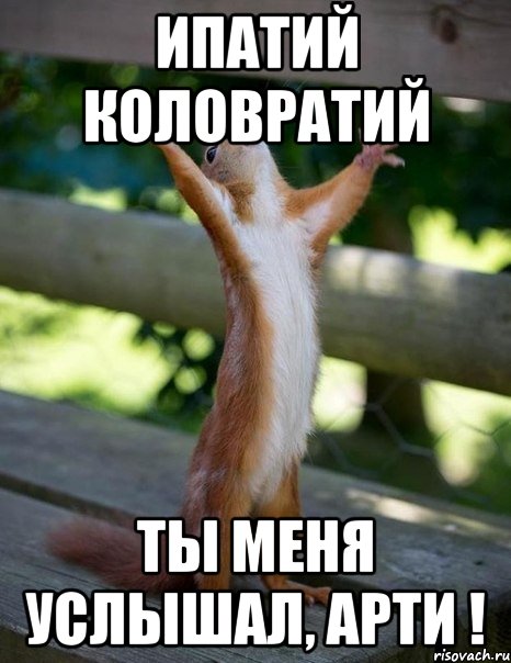 http://risovach.ru/upload/2014/06/mem/belka_54388682_orig_.jpg