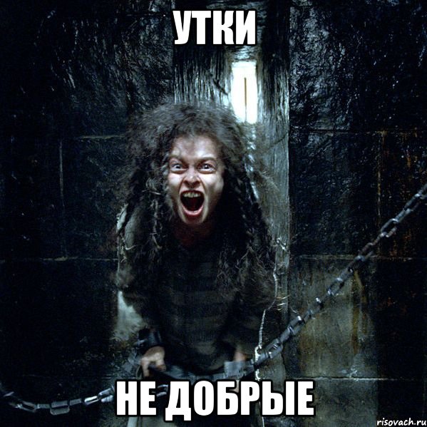 утки не добрые, Мем Беллатриса Лестрейндж
