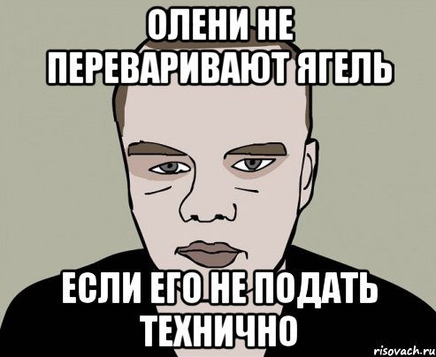 олени не переваривают ягель если его не подать технично