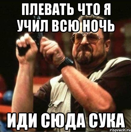 плевать что я учил всю ночь иди сюда сука