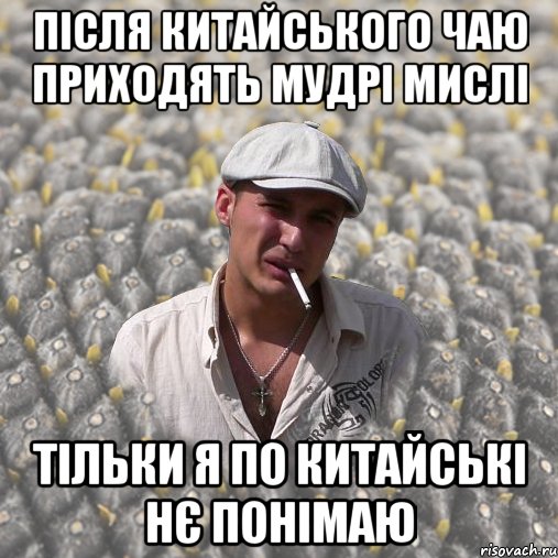 ПІСЛЯ КИТАЙСЬКОГО ЧАЮ ПРИХОДЯТЬ МУДРІ МИСЛІ ТІЛЬКИ Я ПО КИТАЙСЬКІ НЄ ПОНІМАЮ