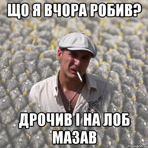ЩО Я ВЧОРА РОБИВ? ДРОЧИВ І НА ЛОБ МАЗАВ