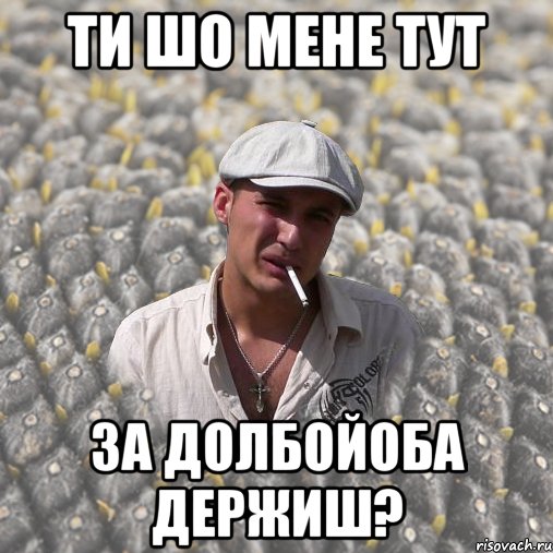 ТИ ШО МЕНЕ ТУТ ЗА ДОЛБОЙОБА ДЕРЖИШ?