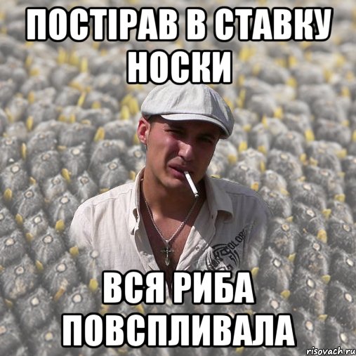 постірав в ставку носки вся риба повспливала