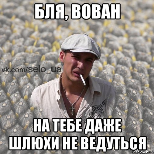 Бля, вован на тебе даже шлюхи не ведуться