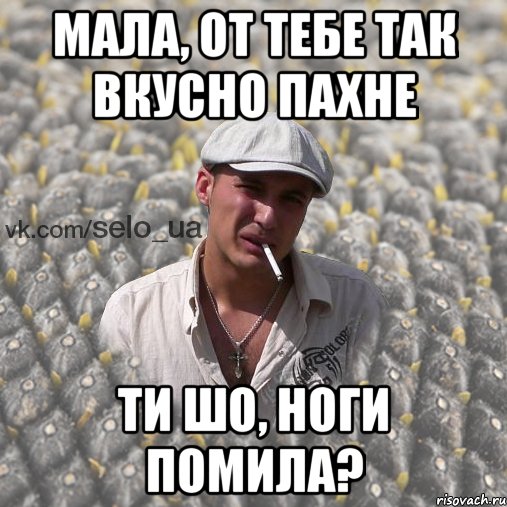 мала, от тебе так вкусно пахне ти шо, ноги помила?