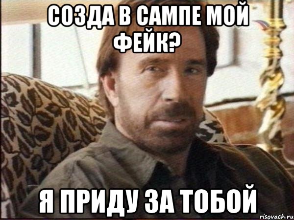 Созда в САМПе мой фейк? Я приду за тобой, Мем чак норрис