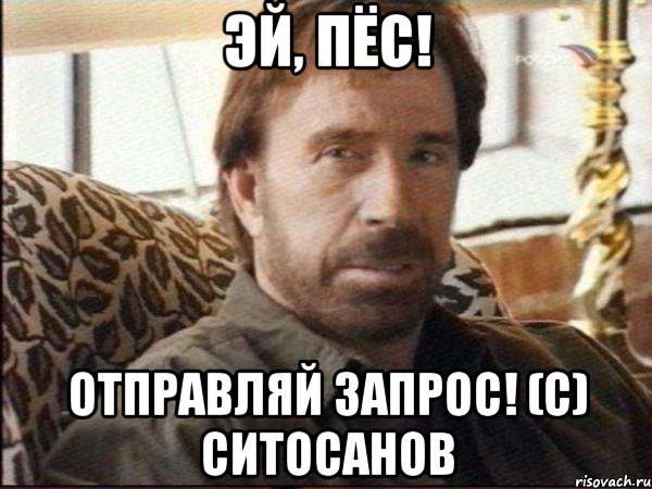 Эй, пёс! Отправляй запрос! (с) Ситосанов, Мем чак норрис