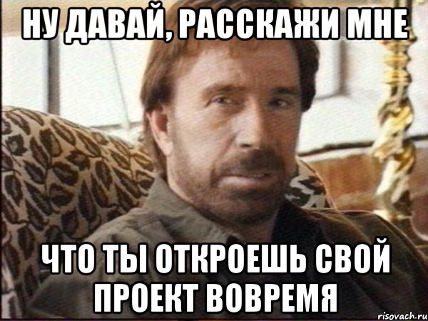 Ну давай, расскажи мне что ты откроешь свой проект вовремя, Мем чак норрис