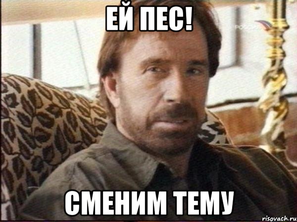 ЕЙ ПЕС! СМЕНИМ ТЕМУ, Мем чак норрис