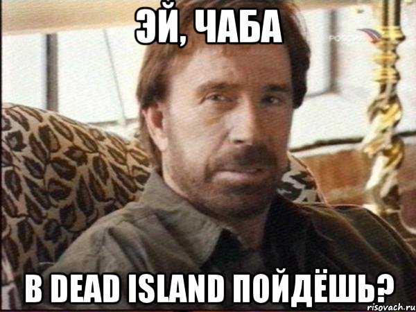 ЭЙ, ЧАБА в Dead Island пойдёшь?, Мем чак норрис