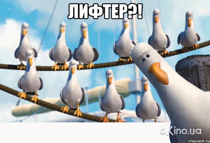 Лифтер?! 