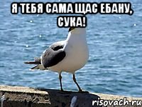 я тебя сама щас ебану, сука! 