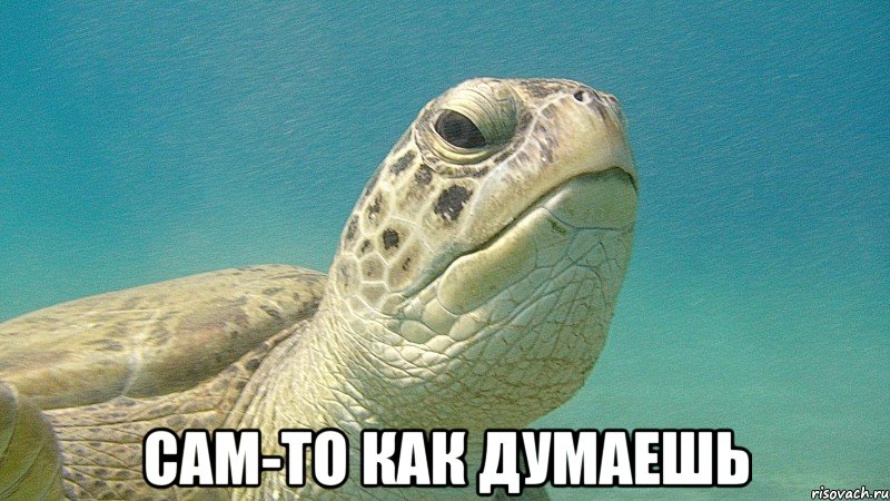  сам-то как думаешь