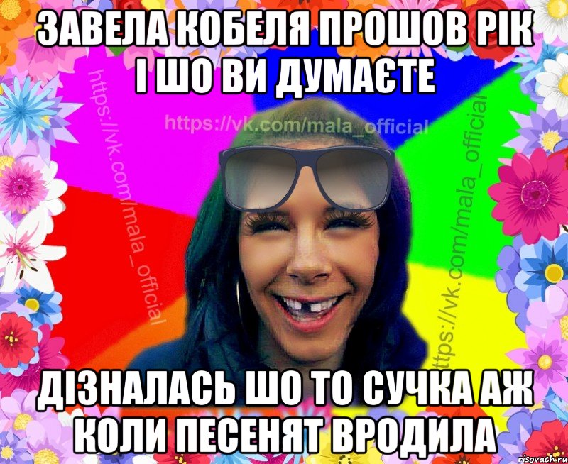 Завела кобеля прошов рік і шо ви думаєте дізналась шо то сучка аж коли песенят вродила