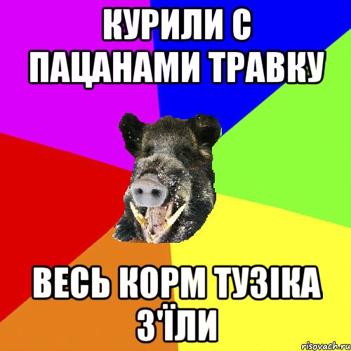 курили с пацанами травку весь корм тузіка з'їли