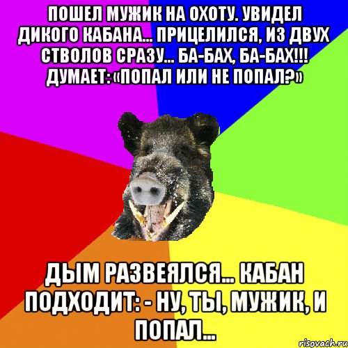Пошел мужик на охоту. Увидел дикого кабана… Прицелился, из двух стволов сразу… Ба-бах, ба-бах!!! Думает: «Попал или не попал?» Дым развеялся… Кабан подходит: - Ну, ты, мужик, и попал…