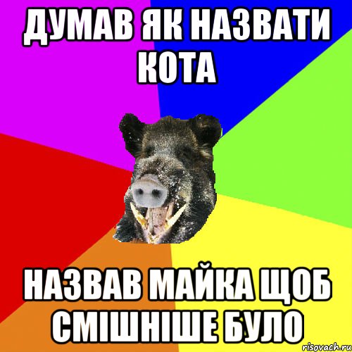 Думав як назвати кота назвав майка щоб смішніше було