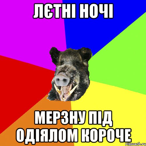 лєтні ночі мерзну під одіялом короче