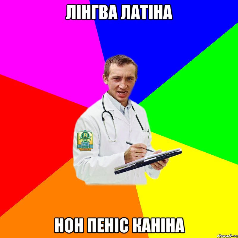 лінгва латіна нон пеніс каніна