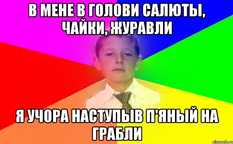 В мене в голови салюты, чайки, журавли я учора наступыв п'яный на грабли