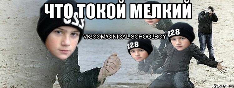что токой мелкий 