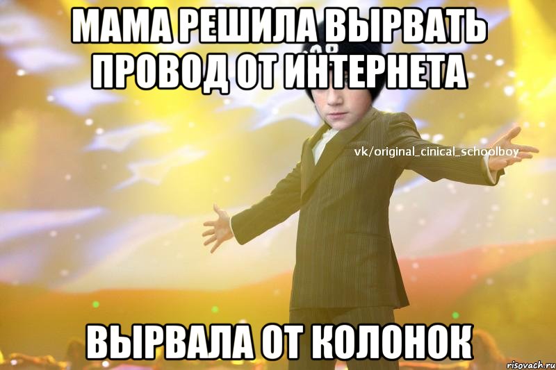 мама решила вырвать провод от интернета вырвала от колонок