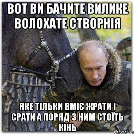 вот ви бачите вилике волохате створнія яке тільки вміє жрати і срати а поряд з ним стоїть кінь, Мем цска