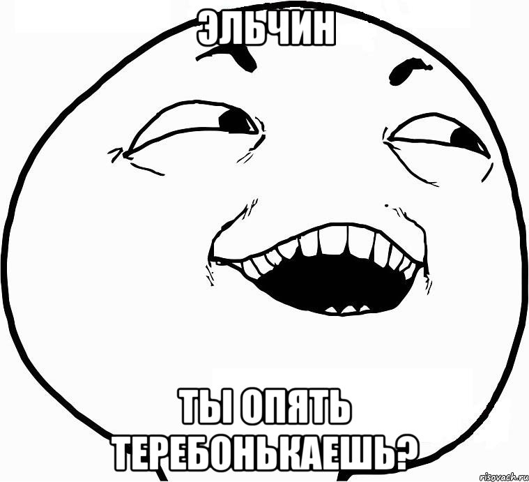 Эльчин Ты опять теребонькаешь?, Мем Дааа