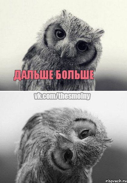дальше больше , Комикс Совушка